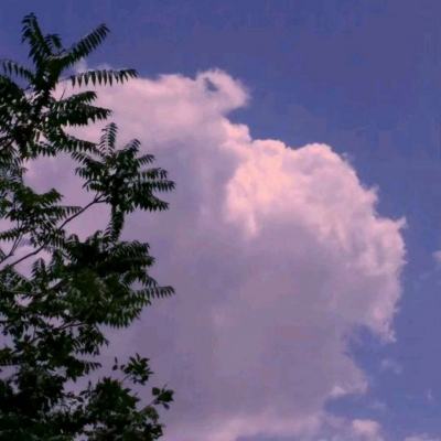 楚乔传暗影剑客手游果盘版下载